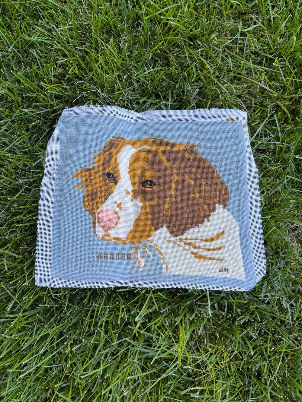 Vintage Handmade Needlepoint Brittany Spaniel Dog Canvas 12x10 Unframed